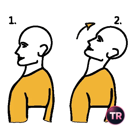 Neck extension