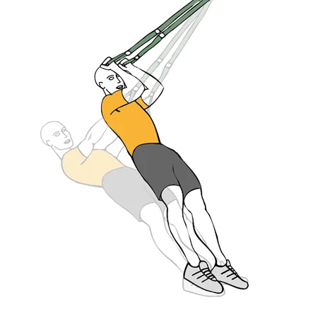 Curl de biceps con trx agarre supino
