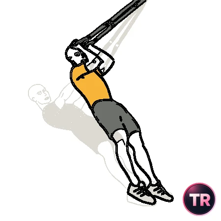Curl de bíceps con TRX agarre supino