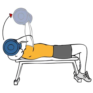 Extensión de triceps con barra z en banco plano