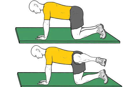 Abducción con pierna flexionada en cuadrupedia