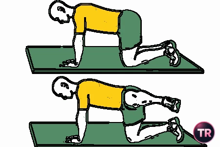 Abducción con pierna flexionada en cuadrupedia