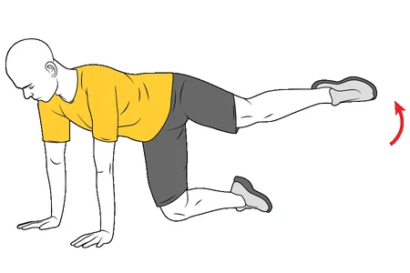 Abducción de una pierna en cuadrupedia