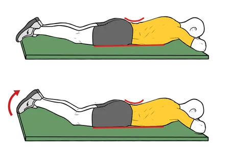 Activación multifidus en pronación