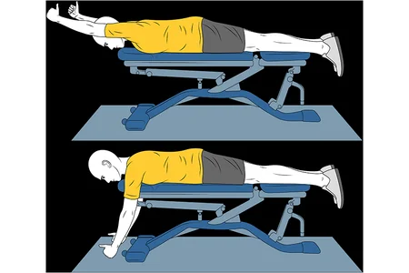 Activación de trapecio medio/bajo-En I