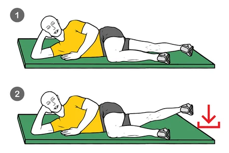 Adductors eccentric