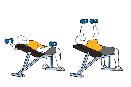 Aperturas de pectoral con mancuernas en banco inclinado