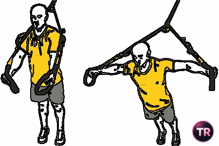 Aperturas de pectoral TRX