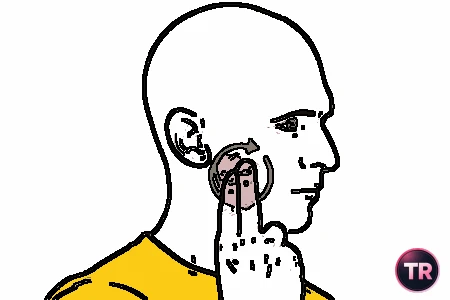 Self-massage of the masseter
