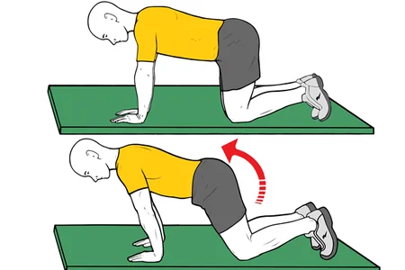 Balanceo adelante en cuadrupedia