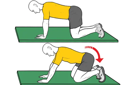 Balanceo atrás en cuadrupedia