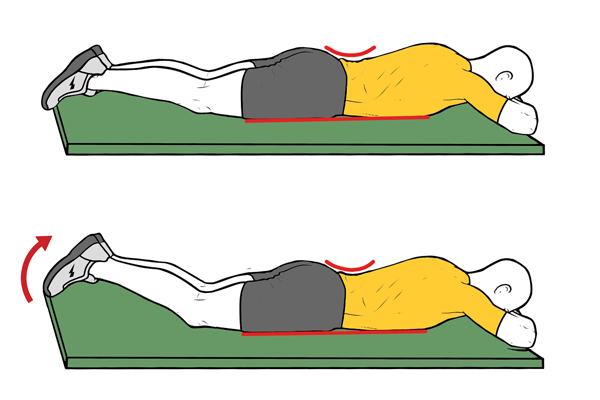Activación multifidus en pronación