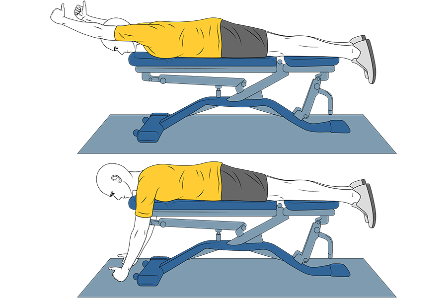 Activación de trapecio medio/bajo-En I