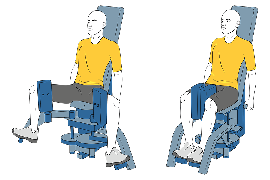 Adaptación anatómica - DIA 2