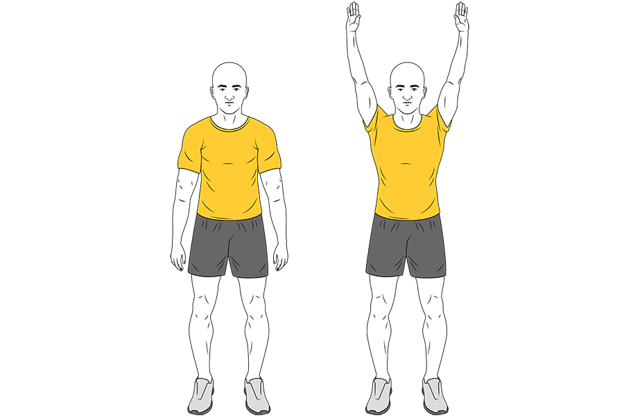 AROM Flexión de hombro