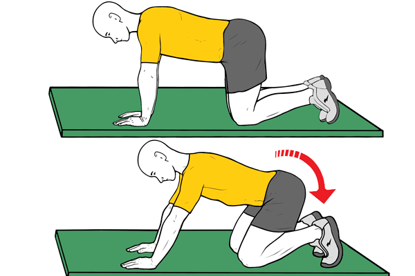 Balanceo atrás en cuadrupedia