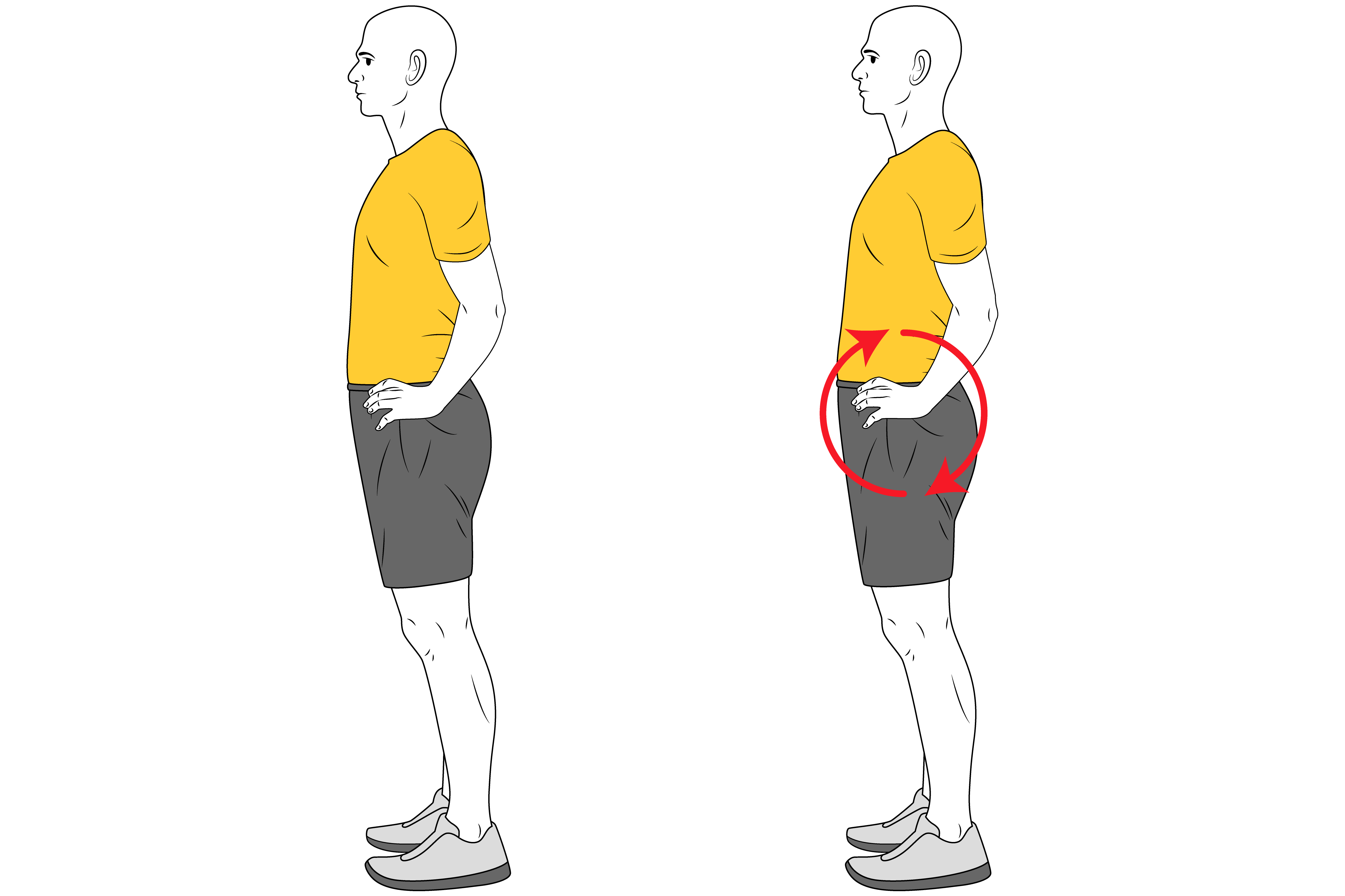 Corrección postural: Basculación pélvica