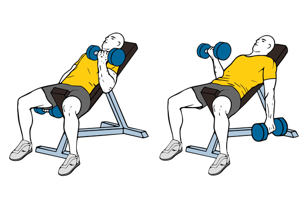 Curl de biceps alterno con mancuernas en banco inclinado