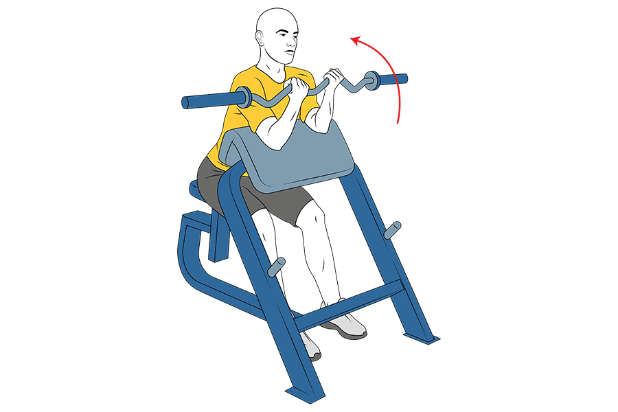 Día de Bíceps y tríceps al límite.