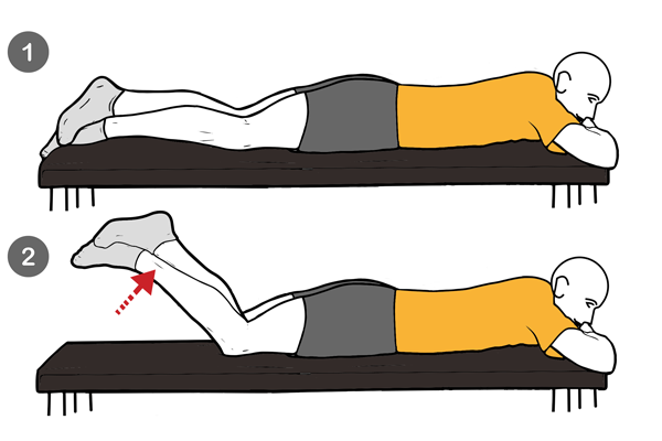 Rehabilitación Ligamento Cruzado Anterior: Fase 2