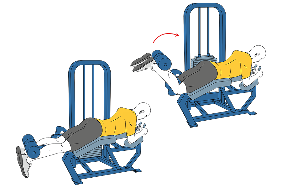Biseries entrenamiento de piernas