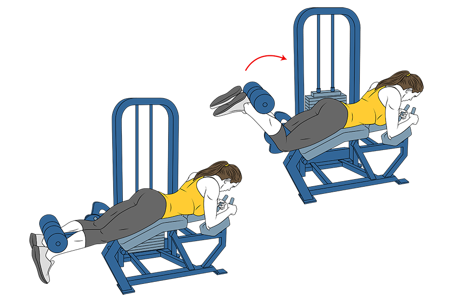 Rutina para mujeres : Marcar y definir