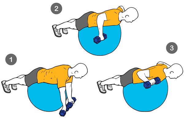 Ejercicio L o Elevación frontal de mancuernas sobre pelota suiza