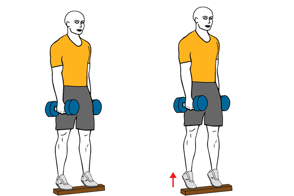 Elevación de gemelos de pie con mancuernas