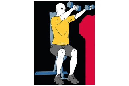 Elevación frontal de hombros con mancuernas sentado agarre en supinación