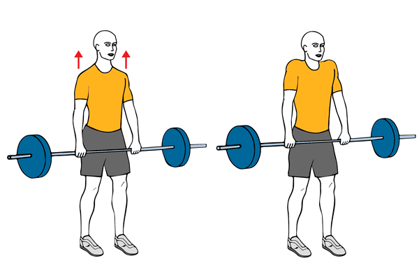 5 días en el gimnasio. Dia 2