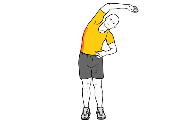 Estiramientos para después de entrenar