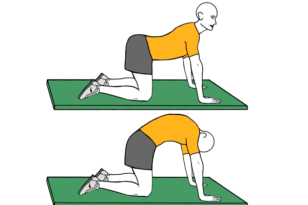 Estiramientos para después de entrenar