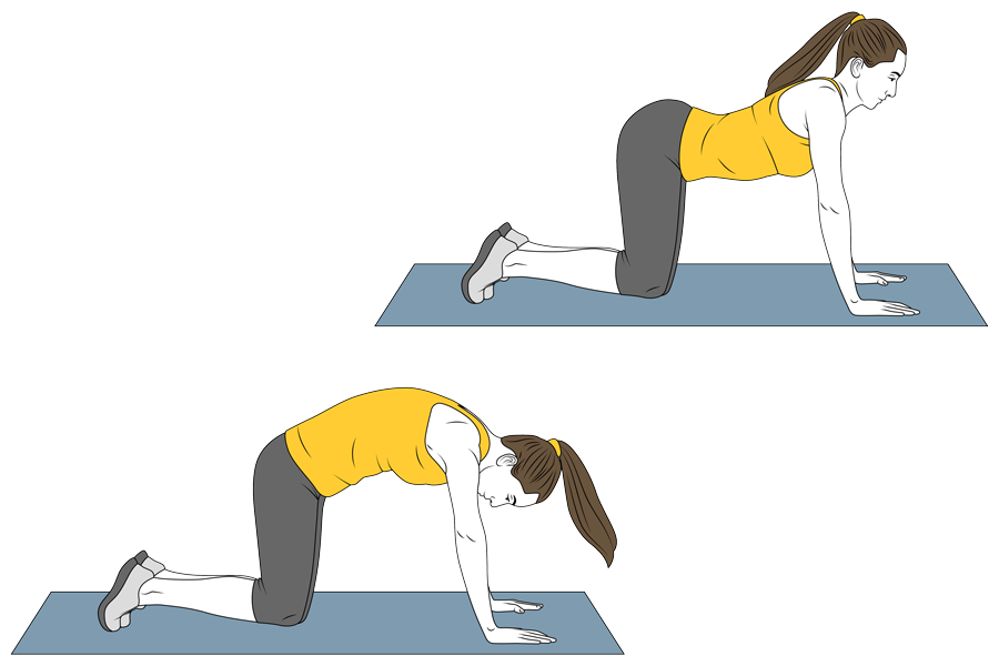 Estiramiento del gato