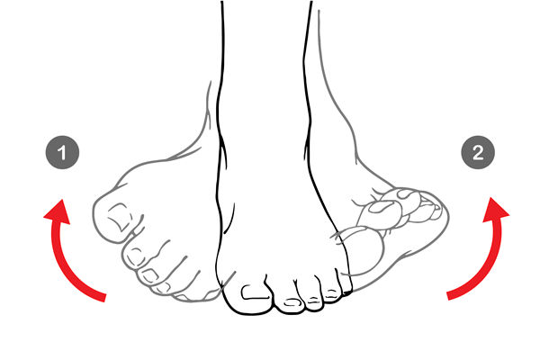 Ejercicio terapéutico PRÓTESIS de CADERA Fase 1