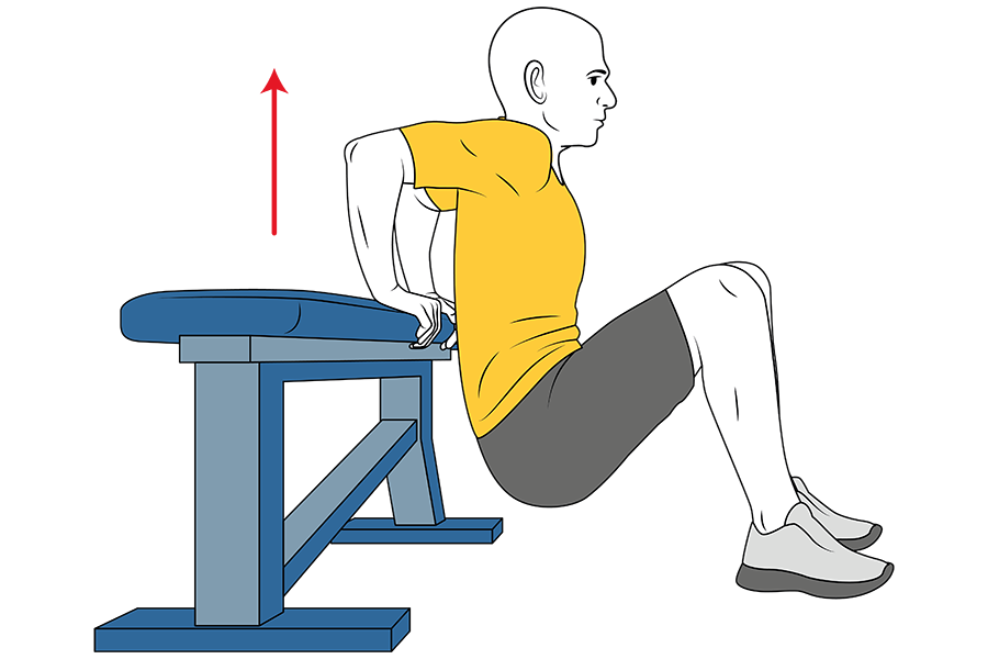 Extension de brazos con apoyo en banco con piernas flexionadas