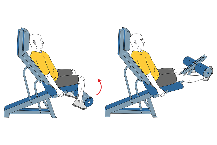 Extensión de piernas en maquina