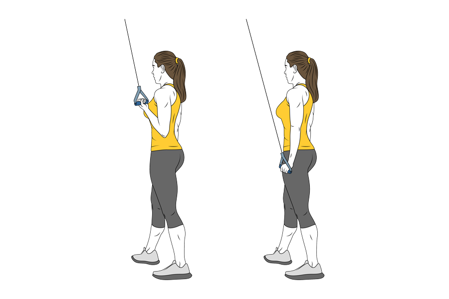 2 días en el gimnasio para mujeres. Día 2