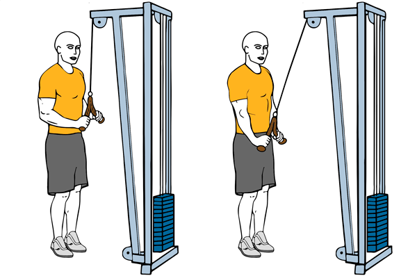 Extensión de trÍceps con cuerda y cable-polea de pie