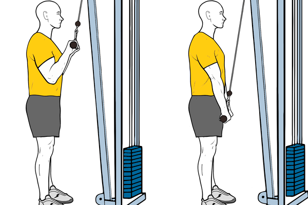 Día de Bíceps y tríceps al límite.