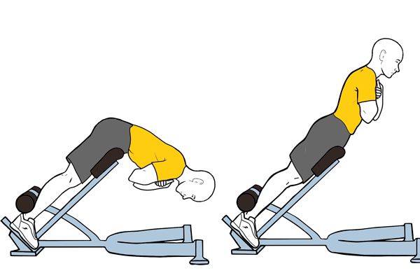 Abdominales nivel medio