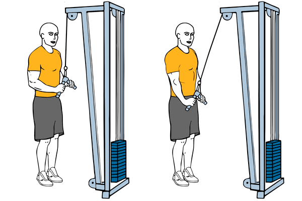 Aumento de masa muscular a base de negativas y fatiga muscular.