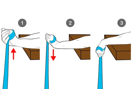 Flexión excéntrica de muñeca con banda elástica