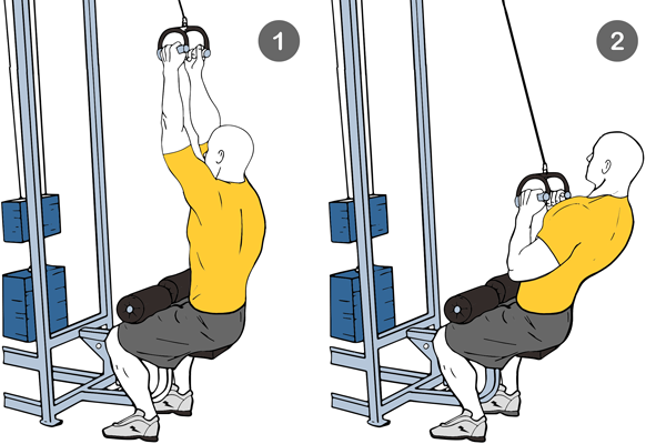 Jalón con polea alta agarre neutro
