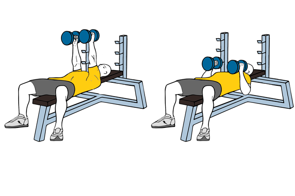 Los 9 mejores ejercicio para el gimnasio.