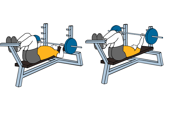 5 días en el gimnasio. Dia 1