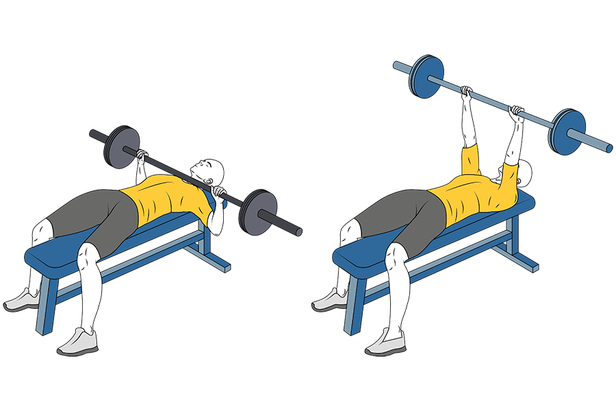 Aumento de masa muscular a base de negativas y fatiga muscular.