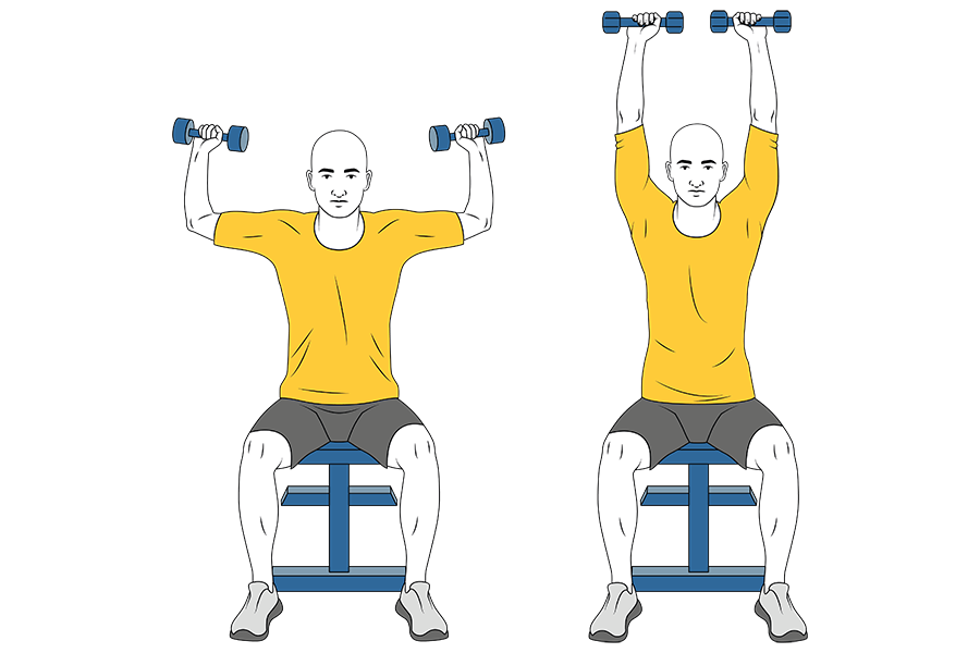 Press de hombros con mancuernas sentado