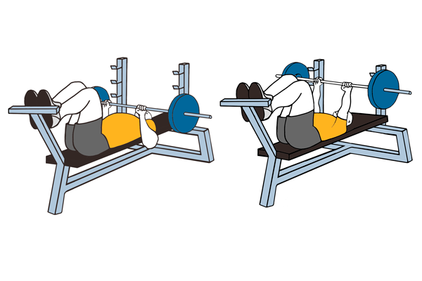 Todo el cuerpo en 3 días. Día 1