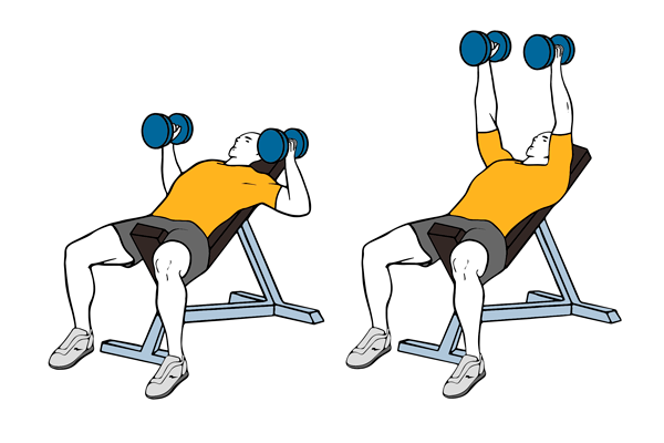 Press pectoral con mancuernas en banco inclinado agarre neutro