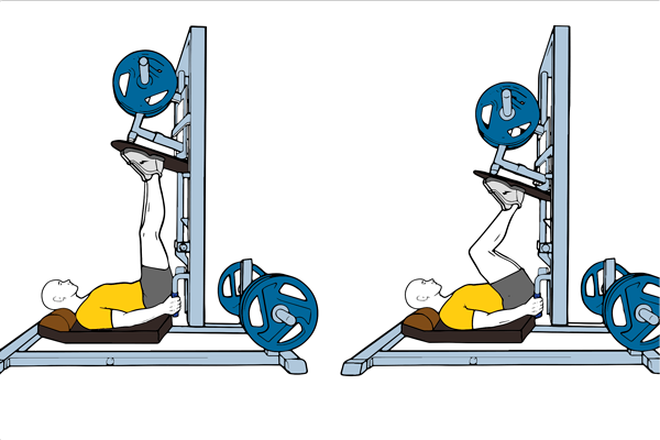 Press vertical de piernas